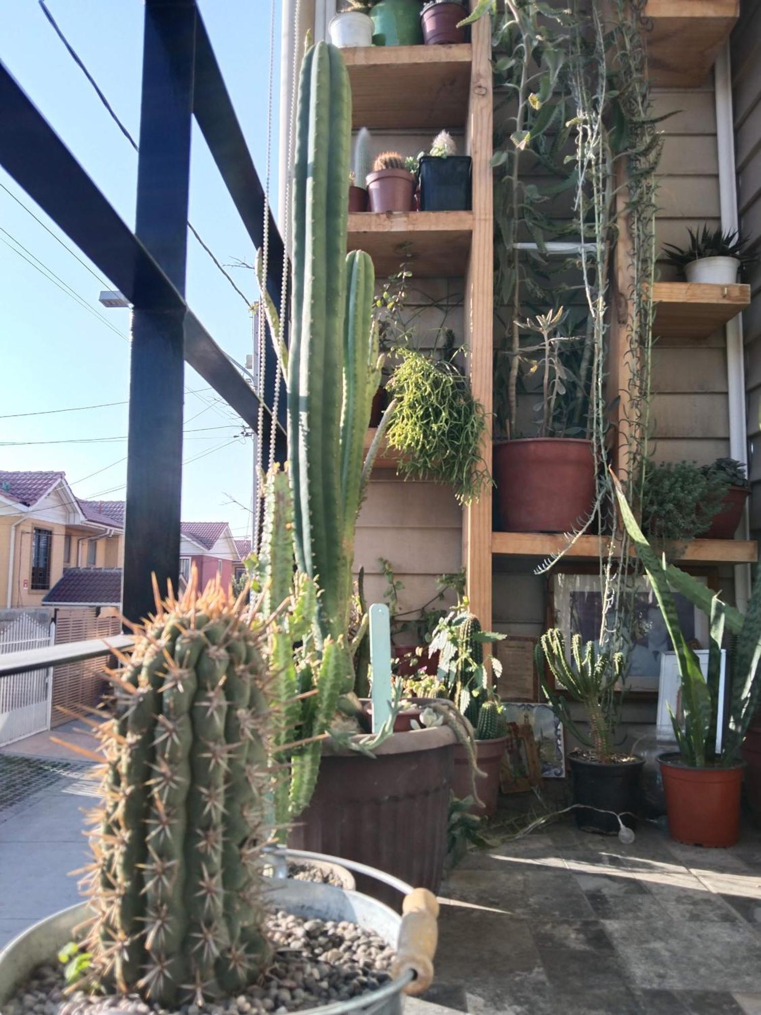 Hostel Tu Espacio Re - Habitaciones Cerca Del Aeropuerto Сантьяго Екстер'єр фото