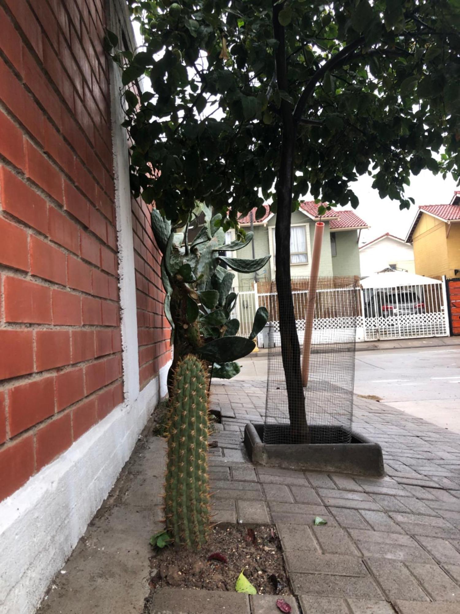 Hostel Tu Espacio Re - Habitaciones Cerca Del Aeropuerto Сантьяго Екстер'єр фото